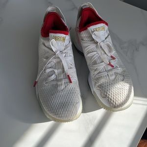 Nike lebron James XVI